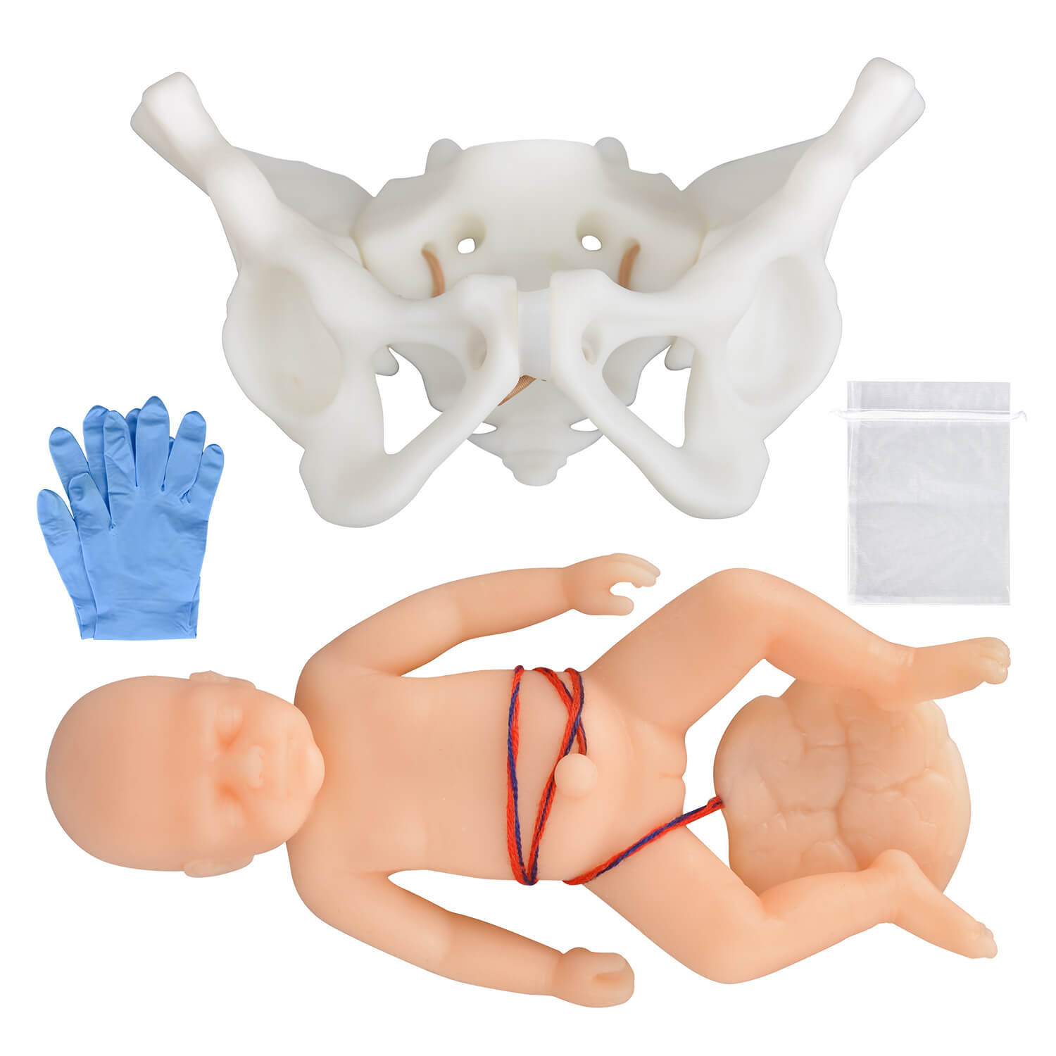 Mini Childbirth Education Model with Fetal & Pelvis