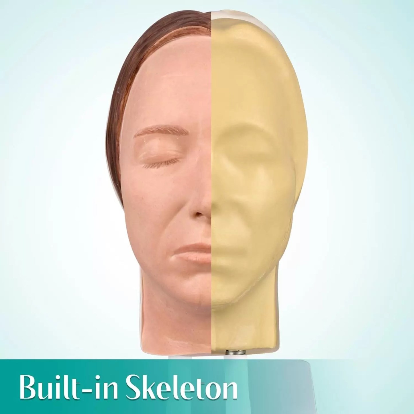 Multi-direcitonal Female Facial Injection Mannequin Head Sara Model