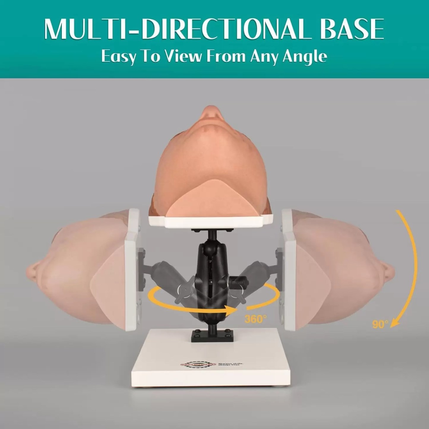 Multi-direcitonal Female Facial Injection Mannequin Head Sara Model