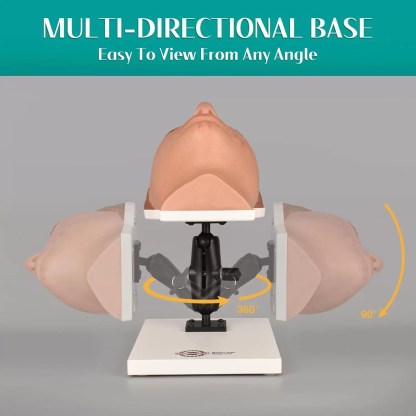 Multi-direcitonal Female Facial Injection Mannequin Head Sara Model