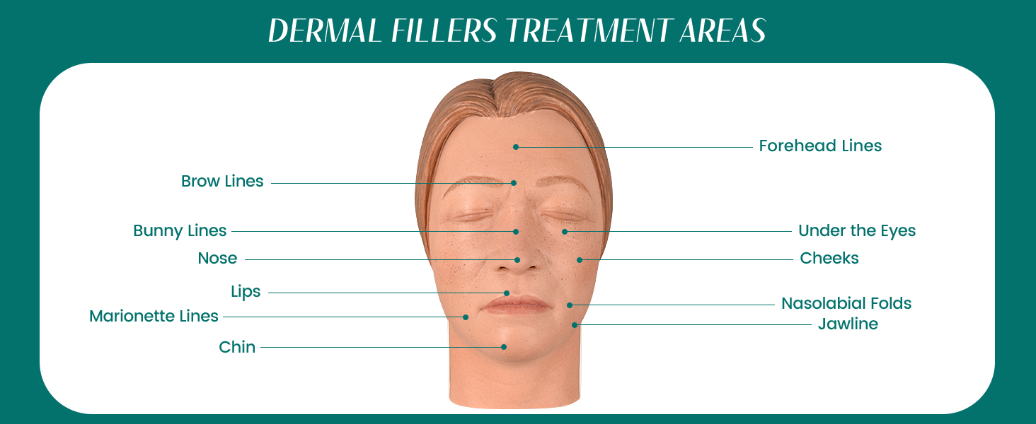 Multi-directional Facial Injection Manikin with Feminine Features 