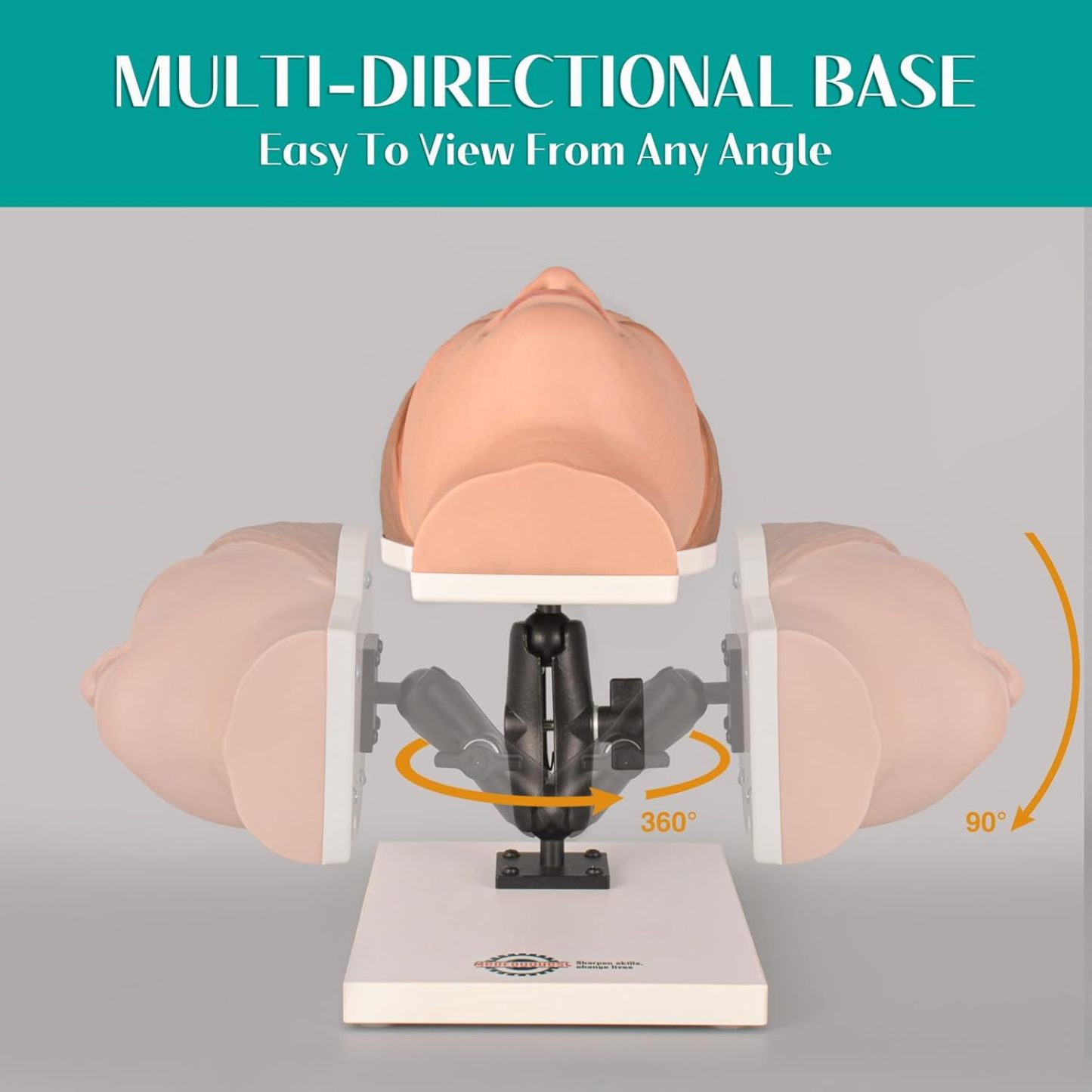 Facial Injection Manikin with Feminine Features - Nana Model