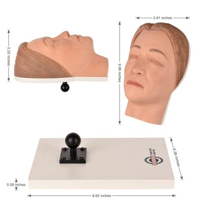Facial Injection Manikin with Feminine Features - Nana Model
