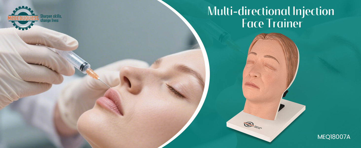 Multi-directional Facial Injection Manikin with Feminine Features 