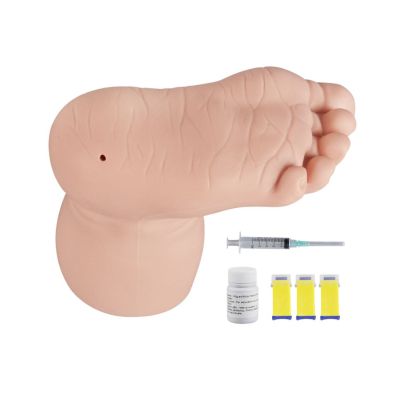 Infant Foot Heel Stick Training Simulator