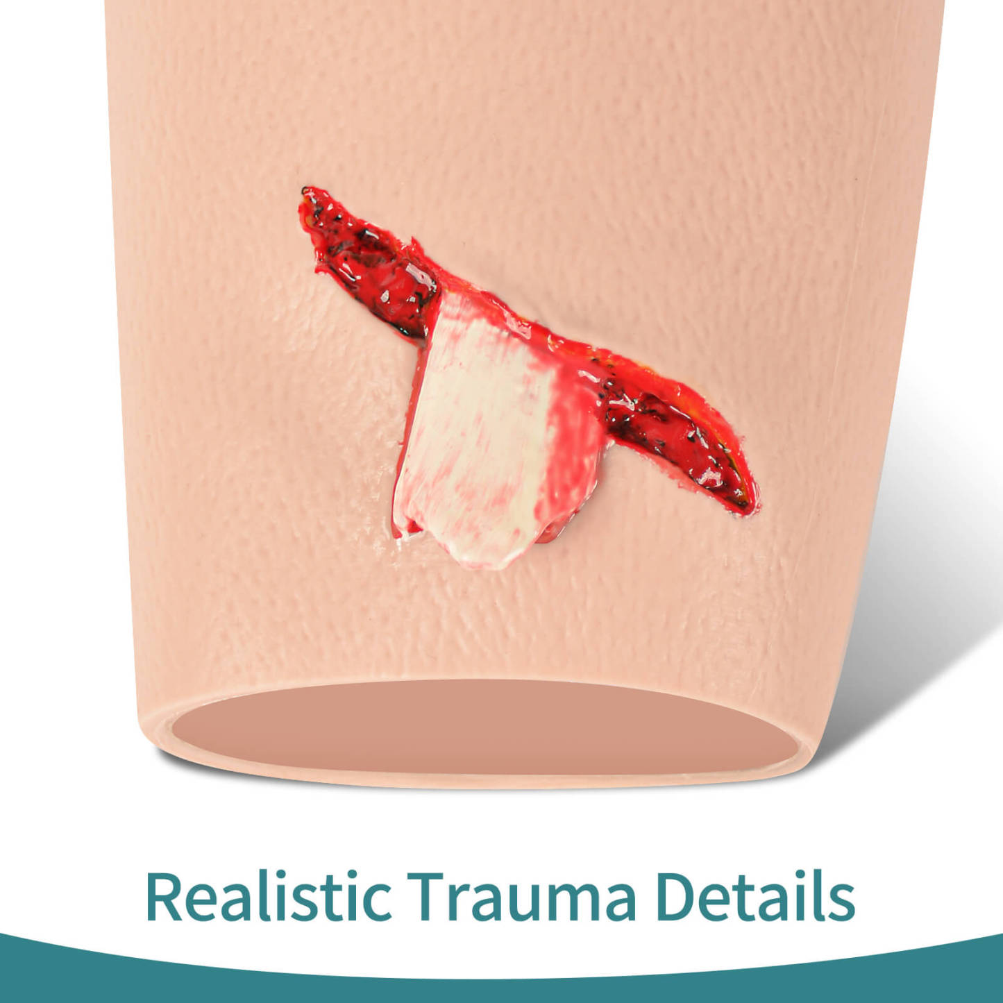 Exposed Bone Open Fracture Wound Packing Trainer