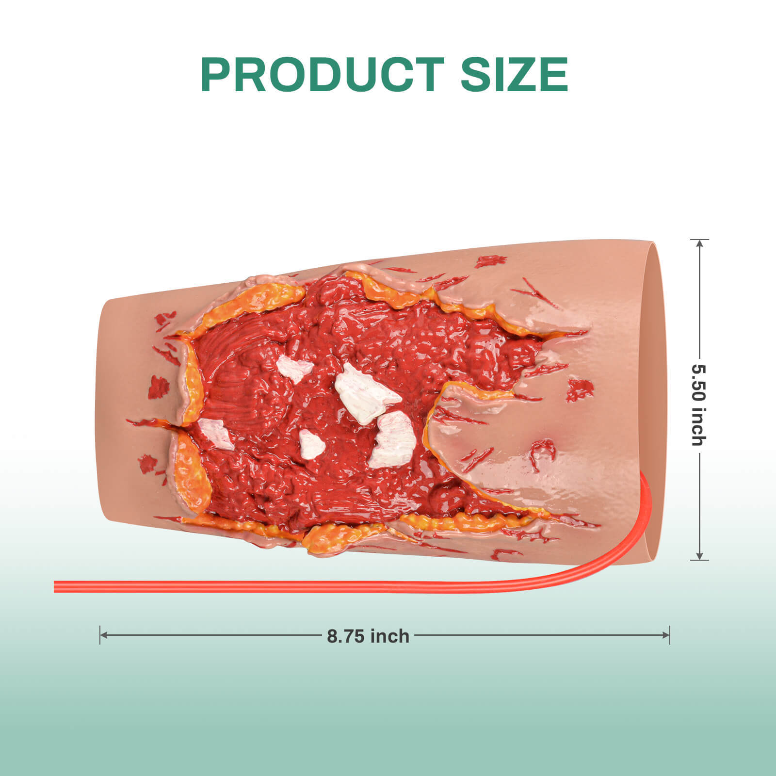Open Fracture Wound Leg Sleeve Kit with Bleeding Simulation