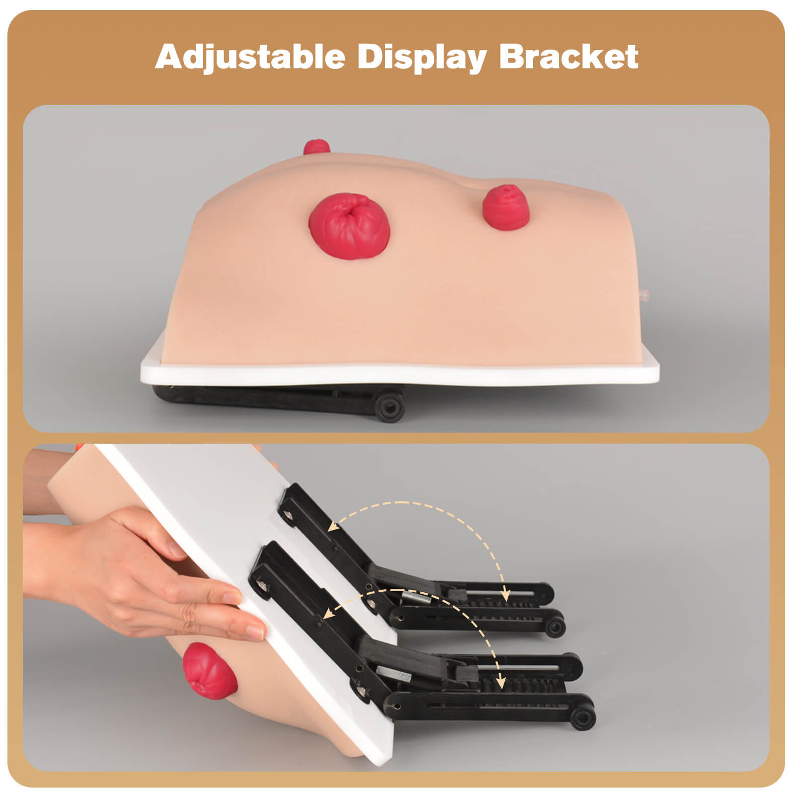 Ostomy Care Simulator with Adjustable Display Bracket