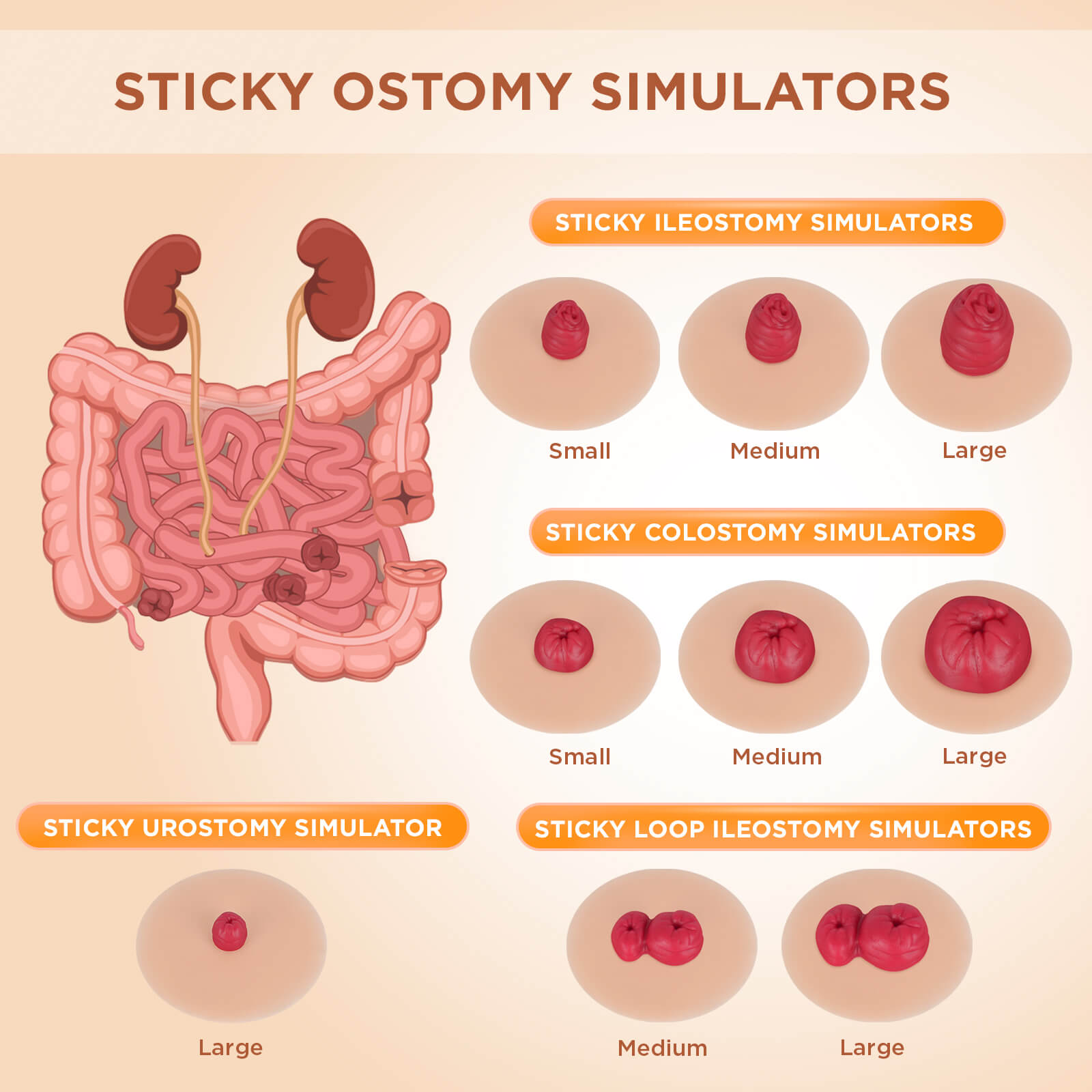 Sticky Ostomy Stoma Care Training Models Set, Multi-Skin Tone