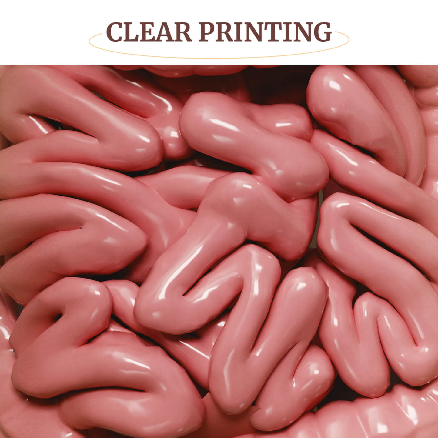 Hangable and Tabletop Ostomy Model Kit