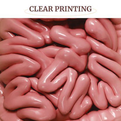 Hangable and Tabletop Ostomy Model Kit