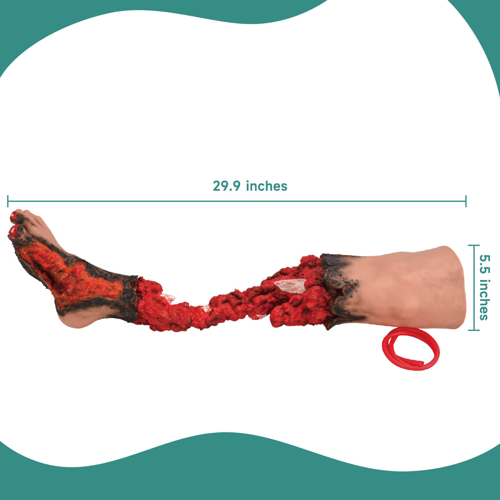 Partial Leg Amputation Trauma Trainer, Right