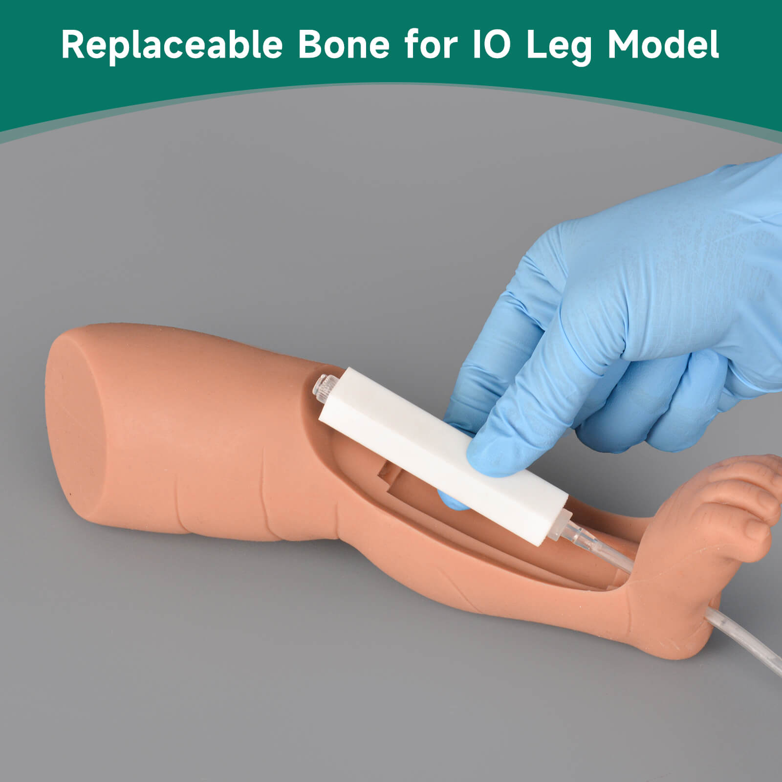 Pediatric Intraosseous (IO) Leg Replacement Bones, 4PCS