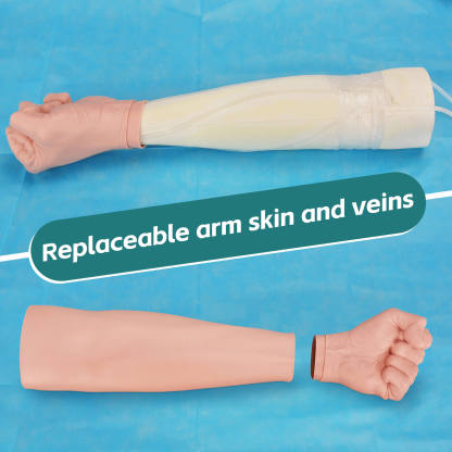 Phlebotomy Practice Arm with Replaceable Skin & Veins