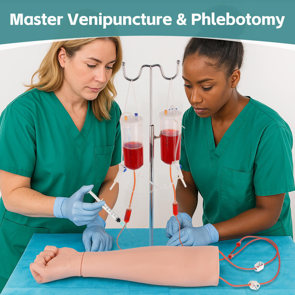 Phlebotomy Practice Arm with Replaceable Skin & Veins