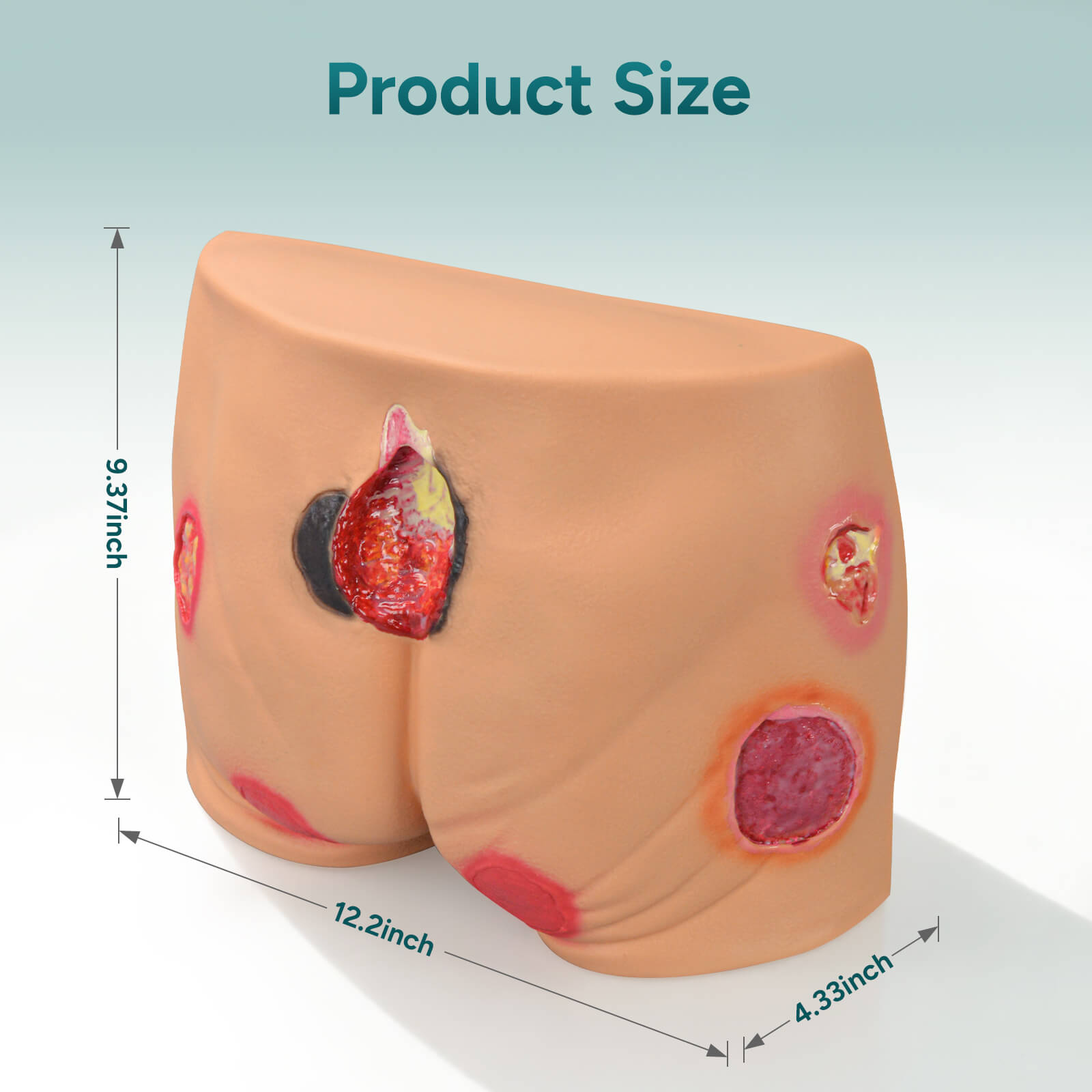 PVC Buttock Decubitus Ulcer Model with Multi-Stage Ulcer Simulation