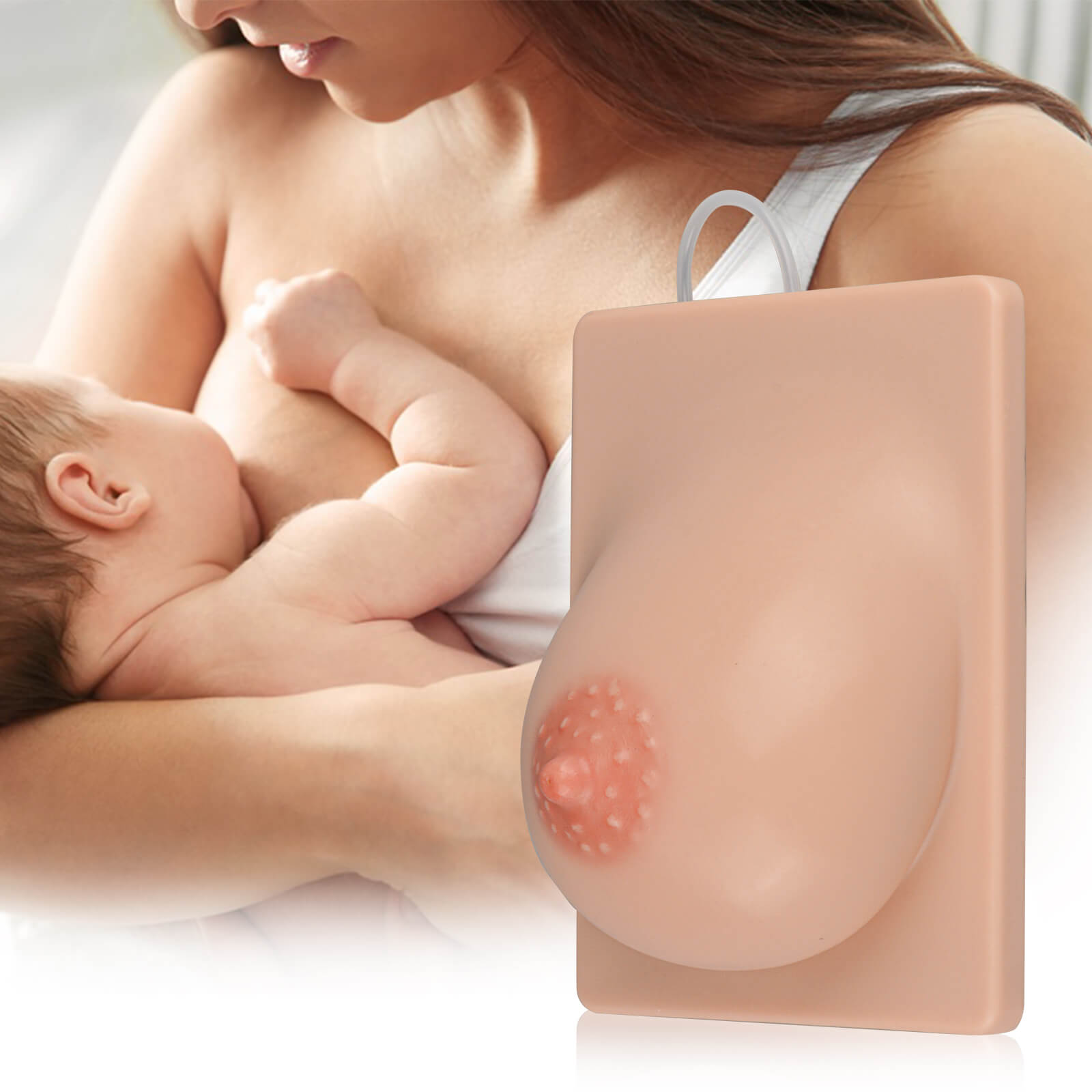 Artificial Breastfeeding Educational Tool for Lactation Consultant, Right
