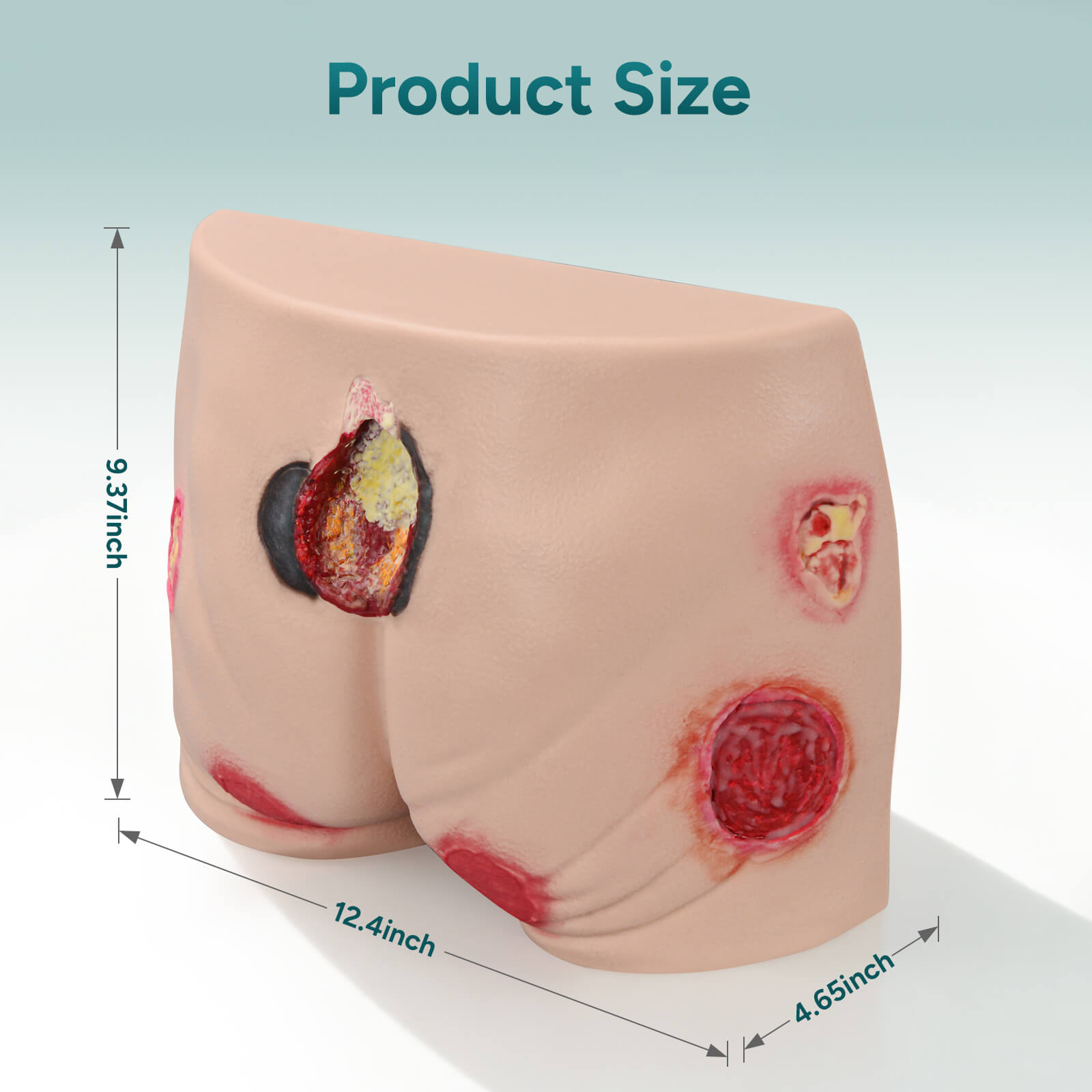 Silicone Buttock Pressure Ulcer Model with Multi-Stage Ulcer Simulation