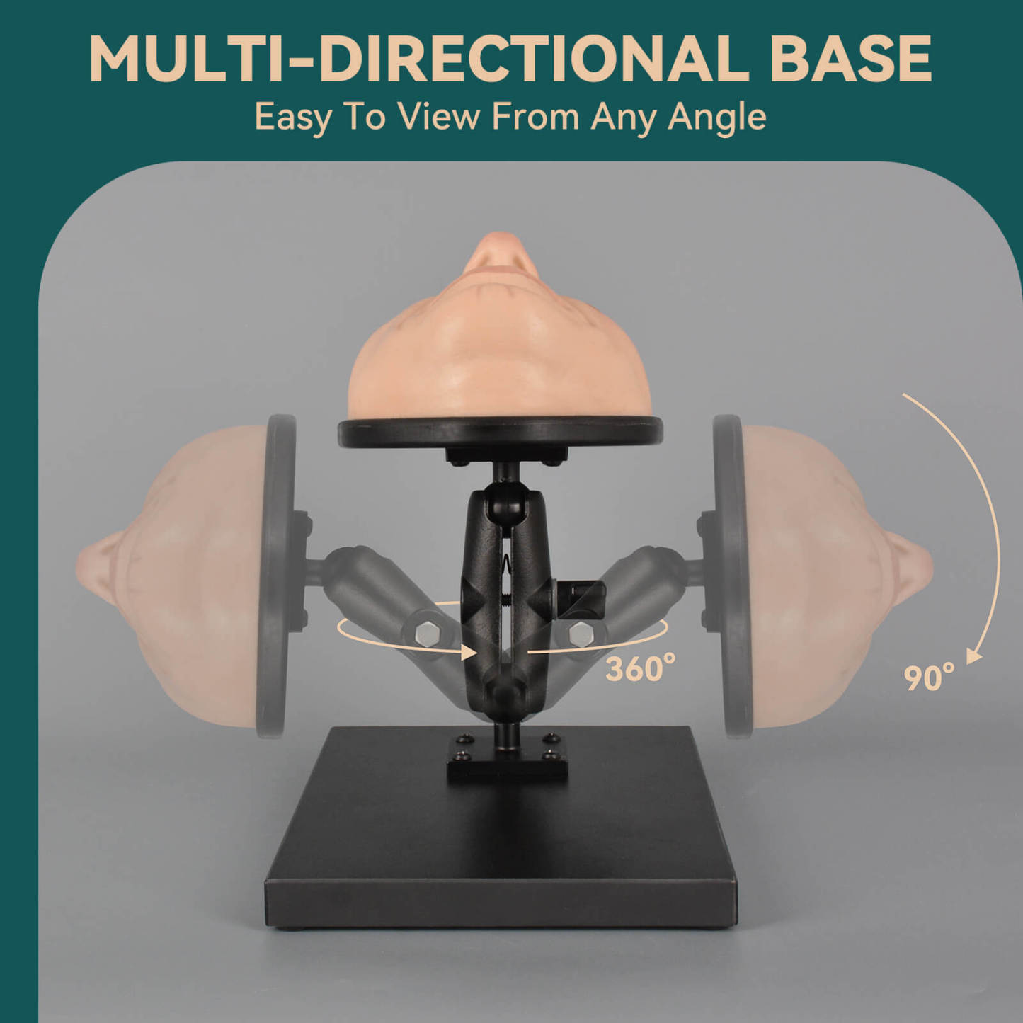 Multi-Directional Female Facial Injection Manikin