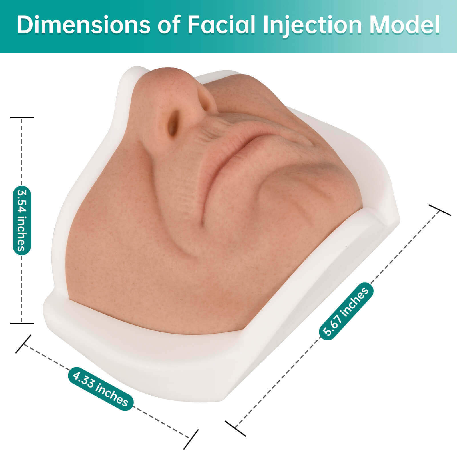 Silicone Female Lower Face Injection Training Model with Anti-Slip Base