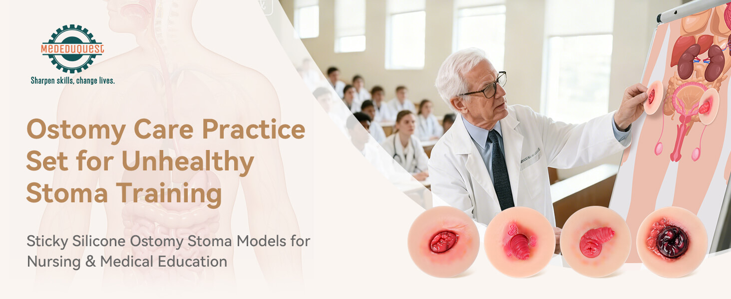 Sticky Stoma Complications Simulation Models Set