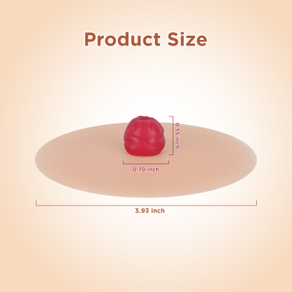 Sticky Urostomy Stoma Care Training Model Size, Light Skin