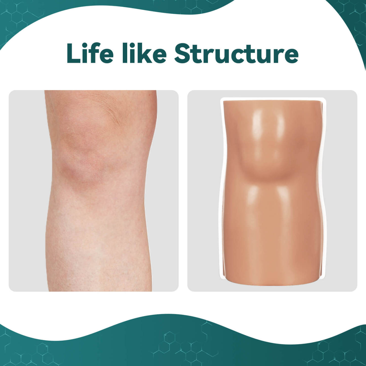 Intraosseous (IO) Tibia Trainer with Detachable Inner Bone