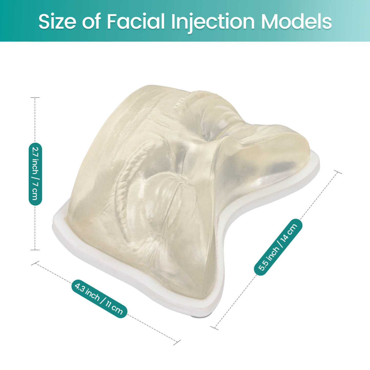 Transparent Facial Injection Eyes Model for Filler & Injection Practice