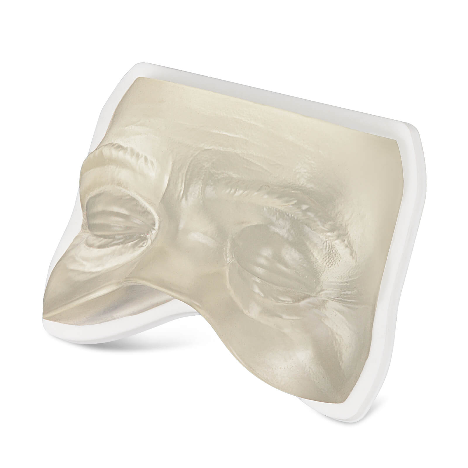 Transparent Facial Injection Eyes Model for Filler & Injection Practice