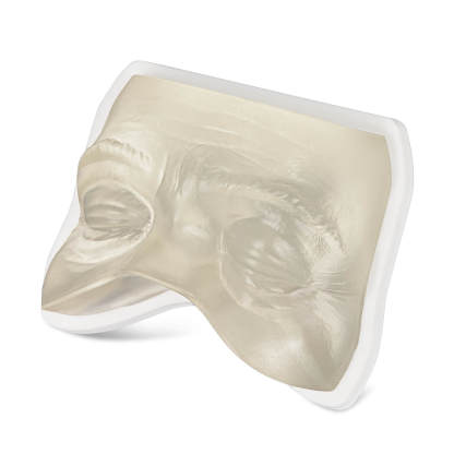 Transparent Facial Injection Eyes Model for Filler & Injection Practice