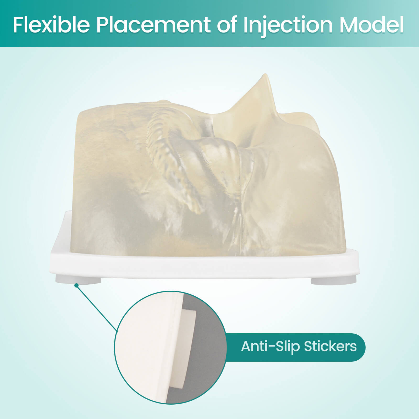 Transparent Facial Injection Eyes Model for Filler & Injection Practice