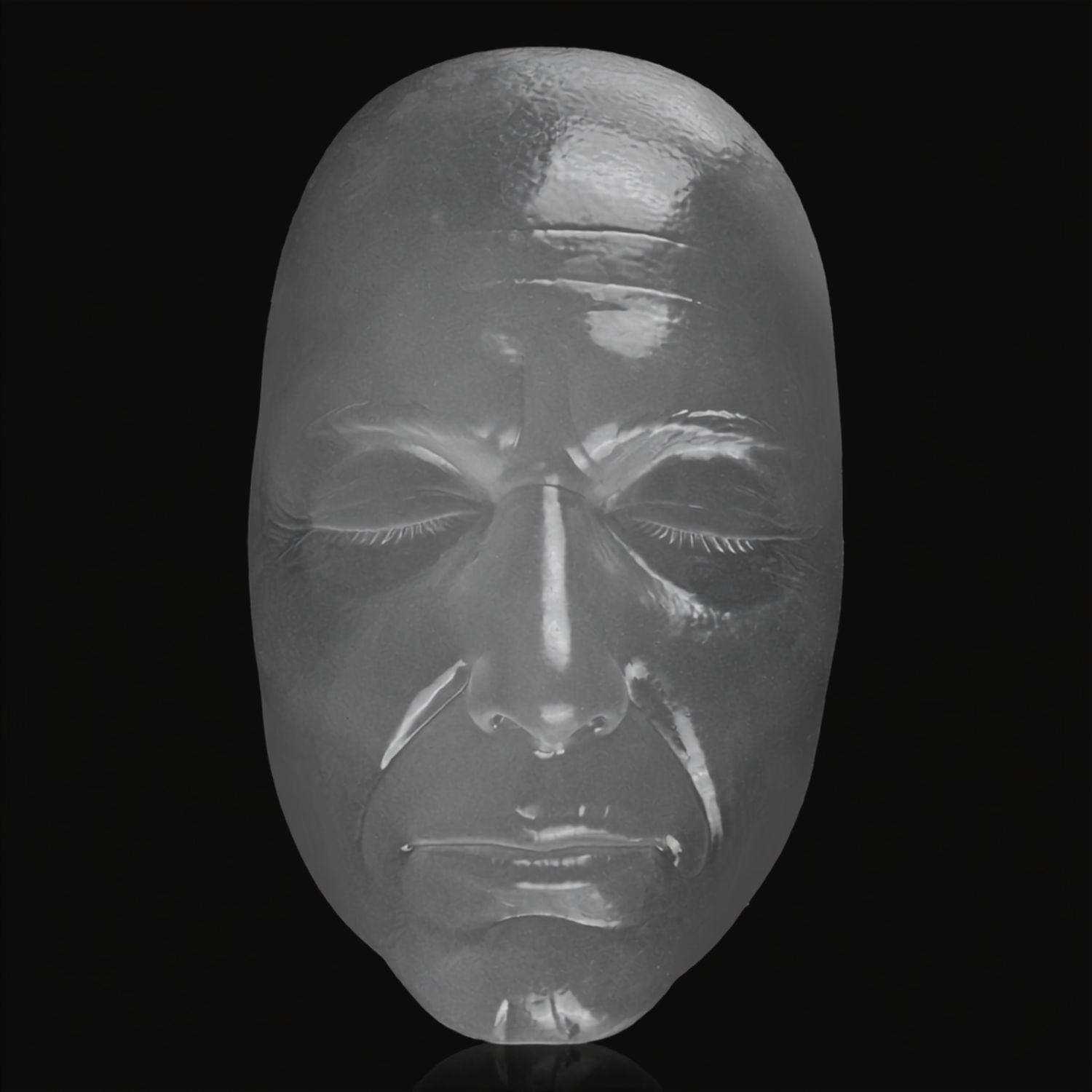 Transparent Facial Injection Training Model