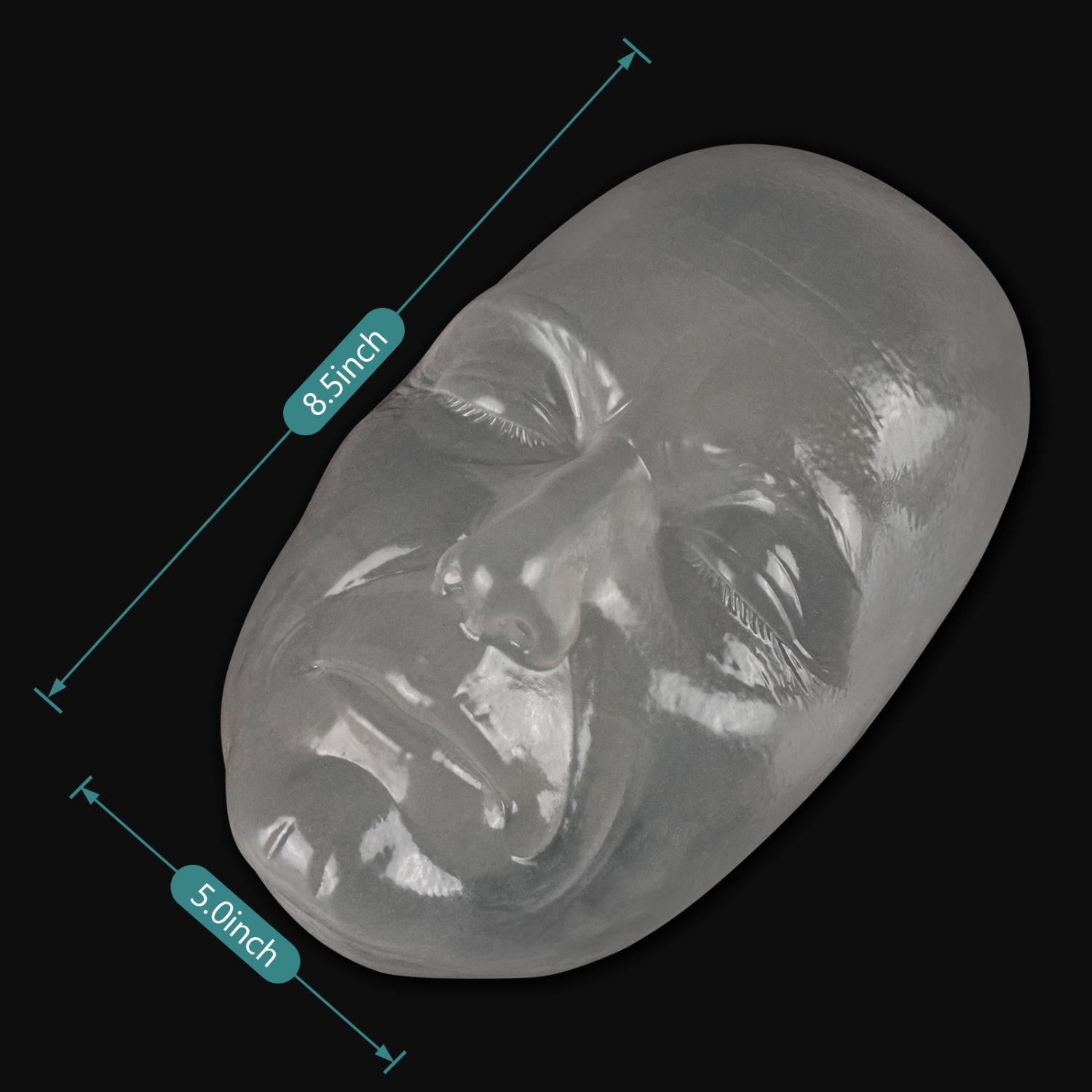 Transparent Facial Injection Training Model