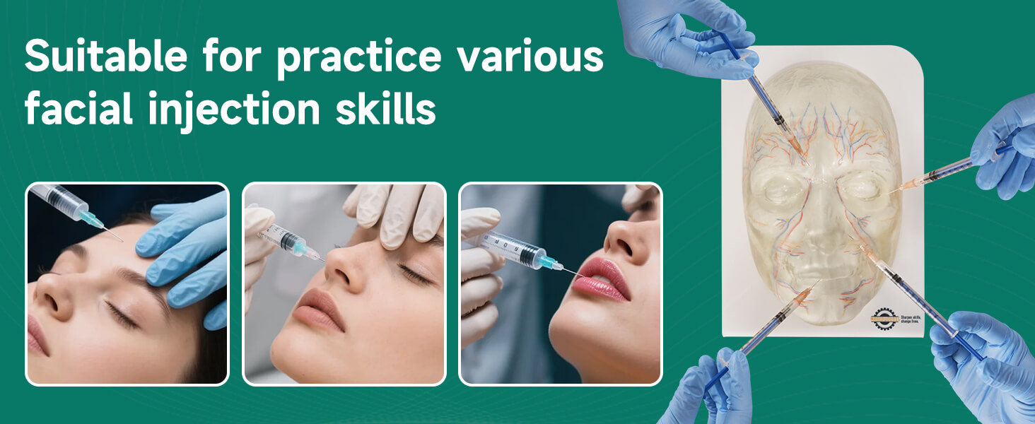 Clear Facial Injection Training Model