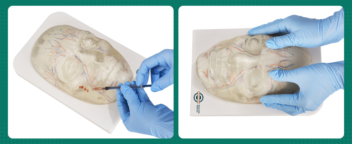 Facial Injection Training Model for Estheticians