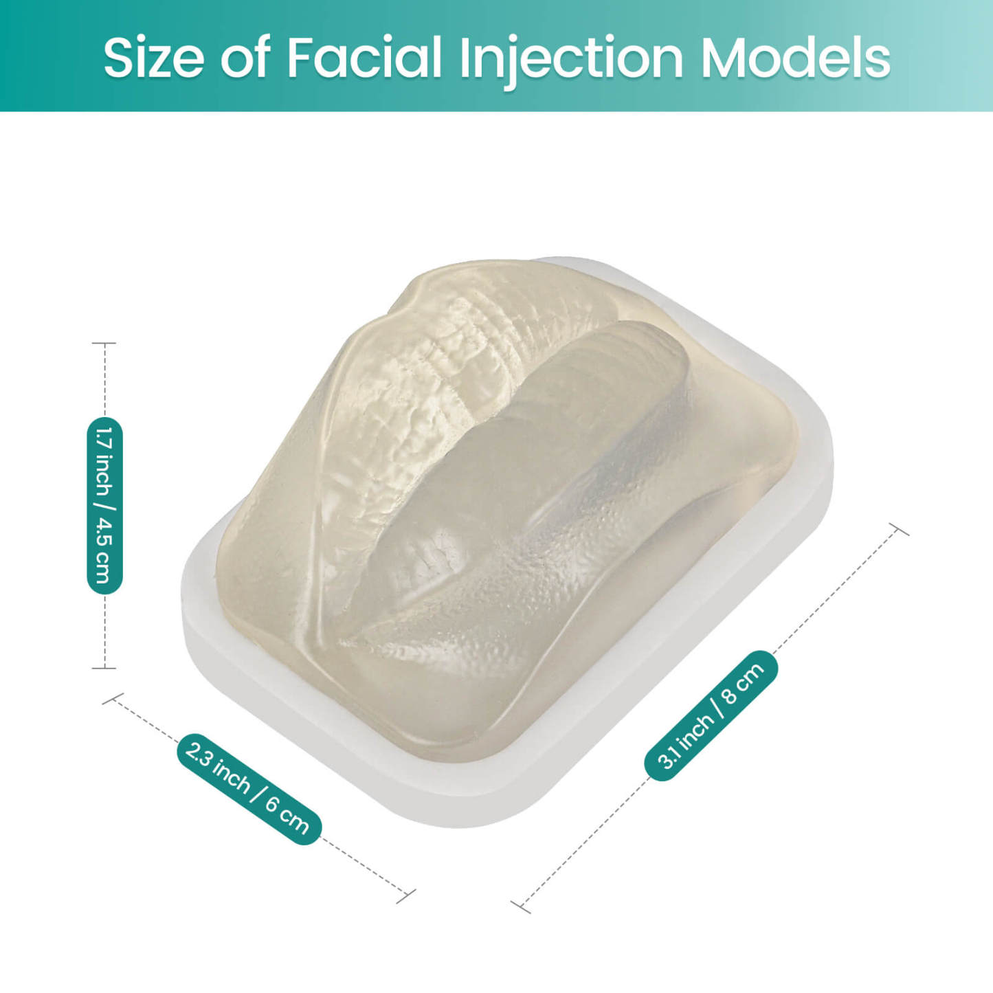 Transparent Facial Injection Lip Model for Filler & Injection Practice