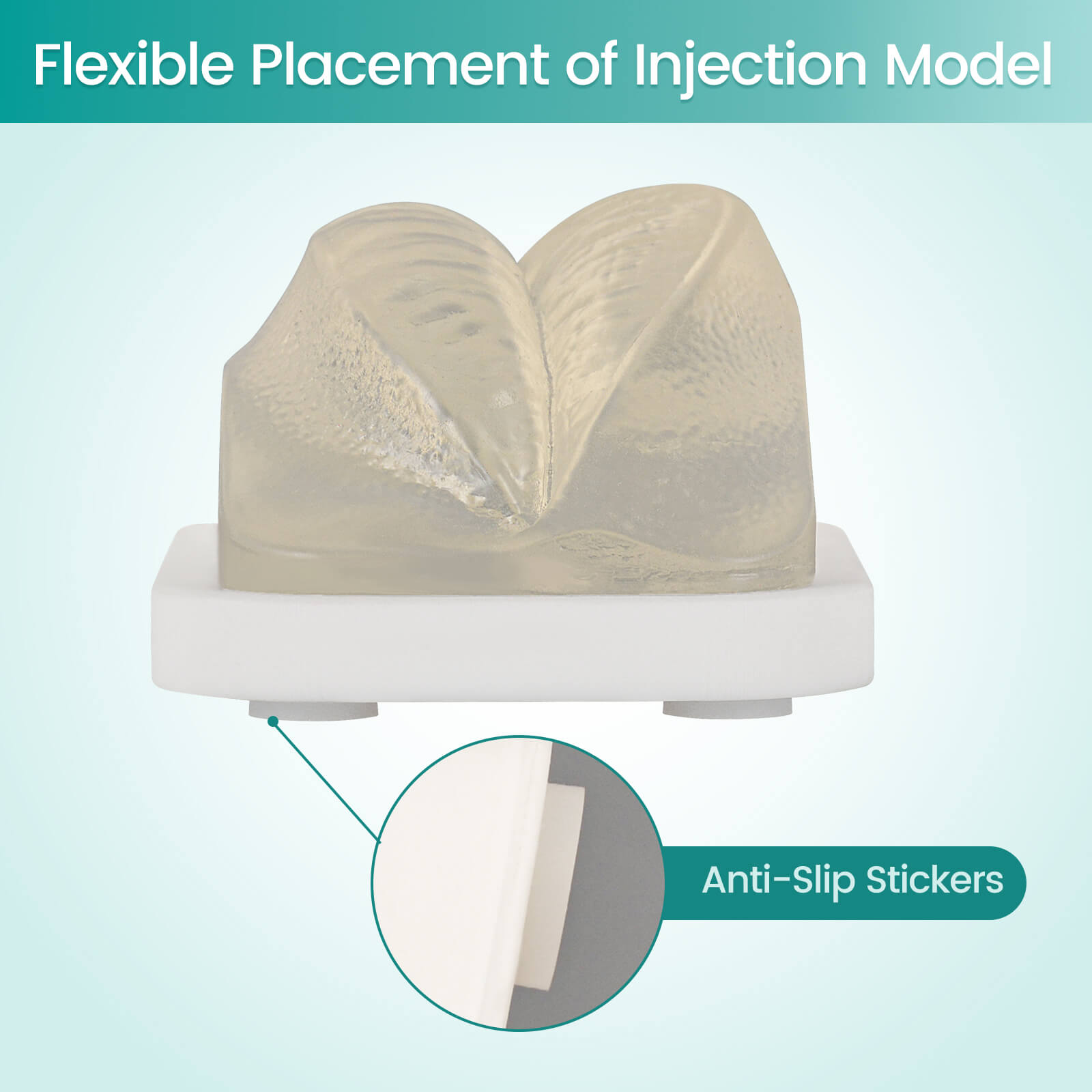 Transparent Facial Injection Lip Model for Filler & Injection Practice