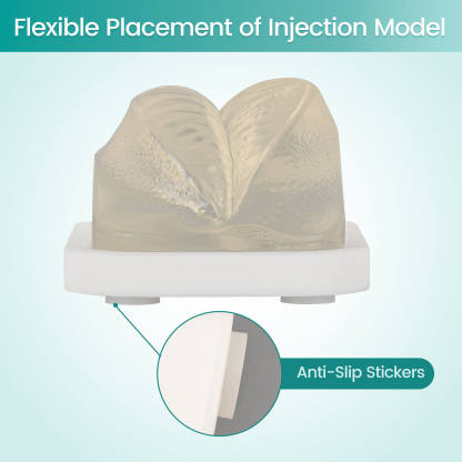 Transparent Facial Injection Lip Model for Filler & Injection Practice