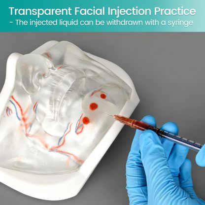 Lower Face Injection Training Model with Simulated Blood Vessels