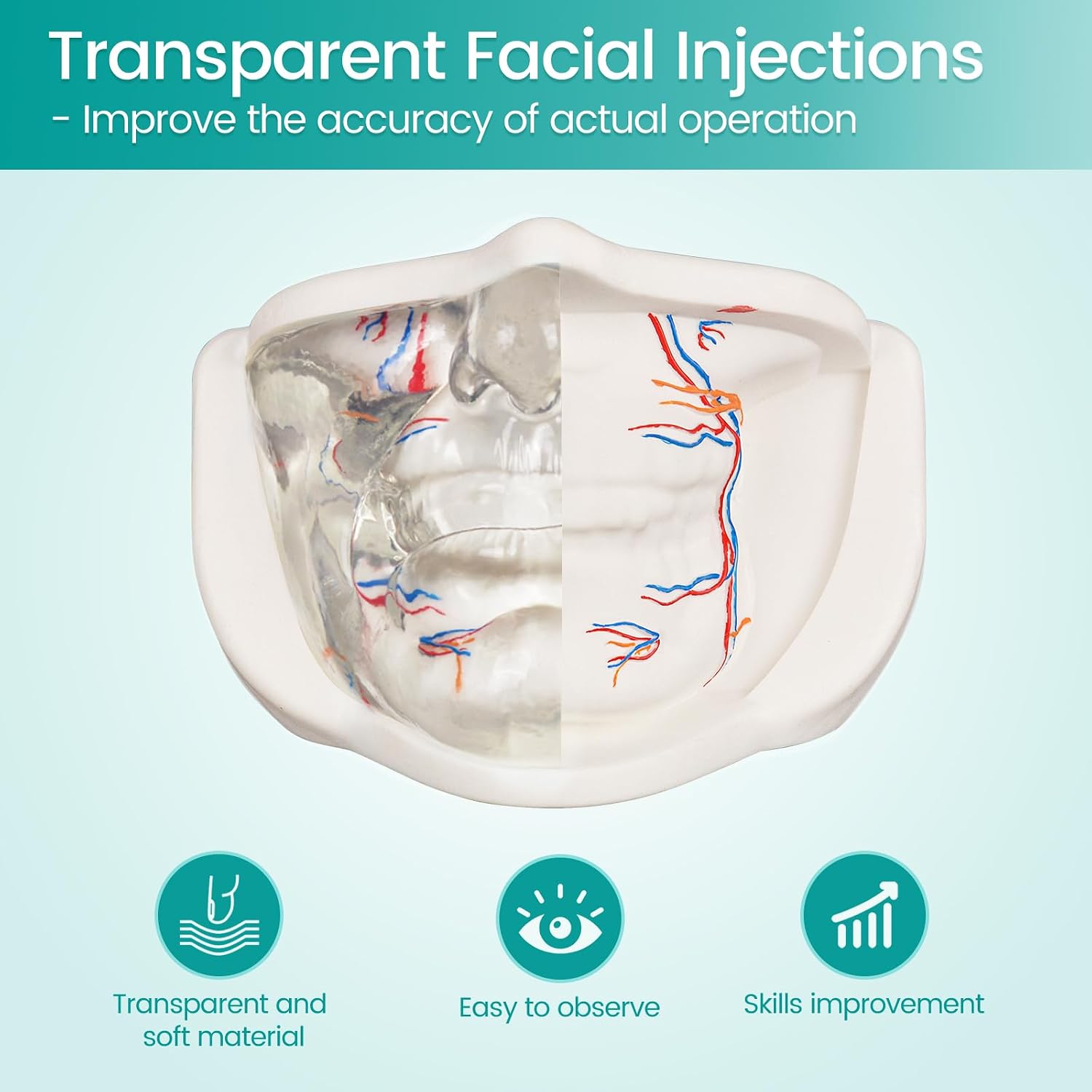 Lower Face Injection Training Model with Simulated Blood Vessels