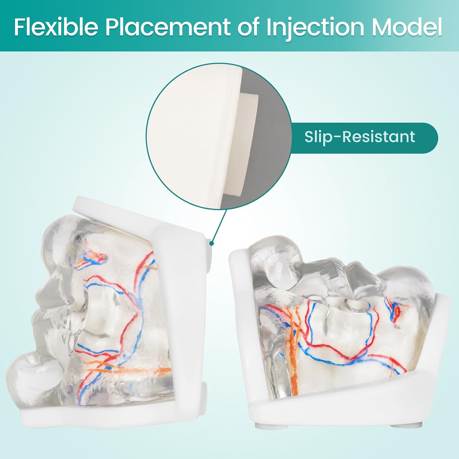 Lower Face Injection Training Model with Simulated Blood Vessels