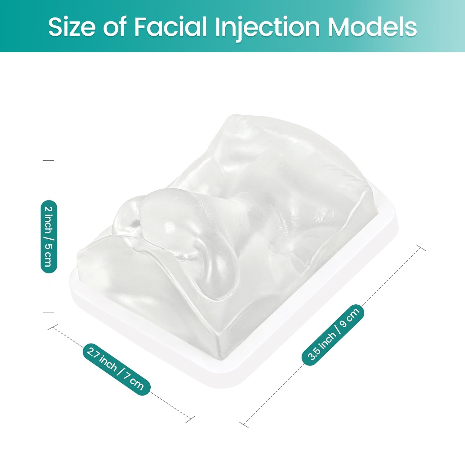 Transparent Nose Filler Practice Model