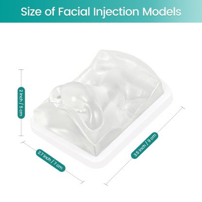 Transparent Nose Filler Practice Model