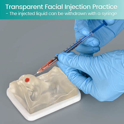 Transparent Facial Injection Nose Model for Filler & Injection Practice