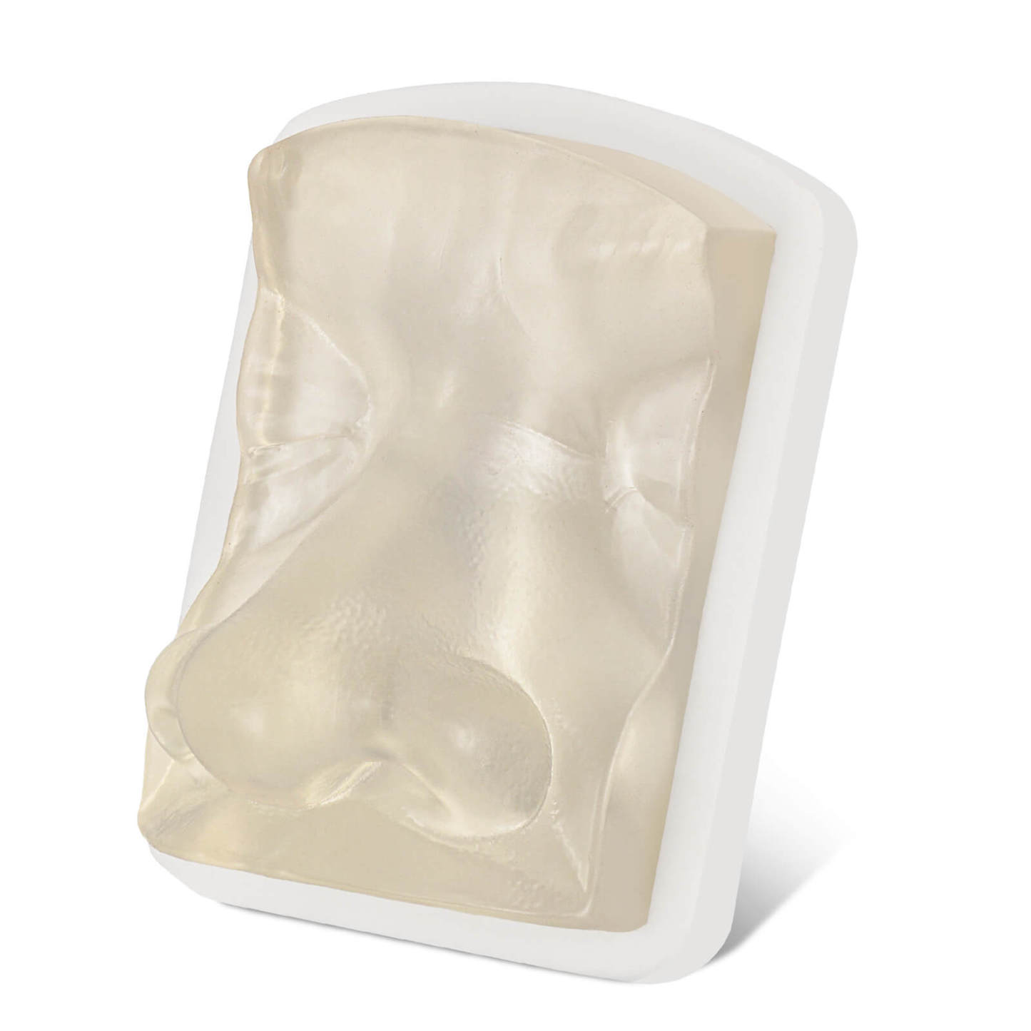 Transparent Facial Injection Nose Model for Filler & Injection Practice
