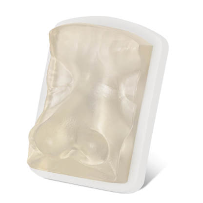 Transparent Facial Injection Nose Model for Filler & Injection Practice