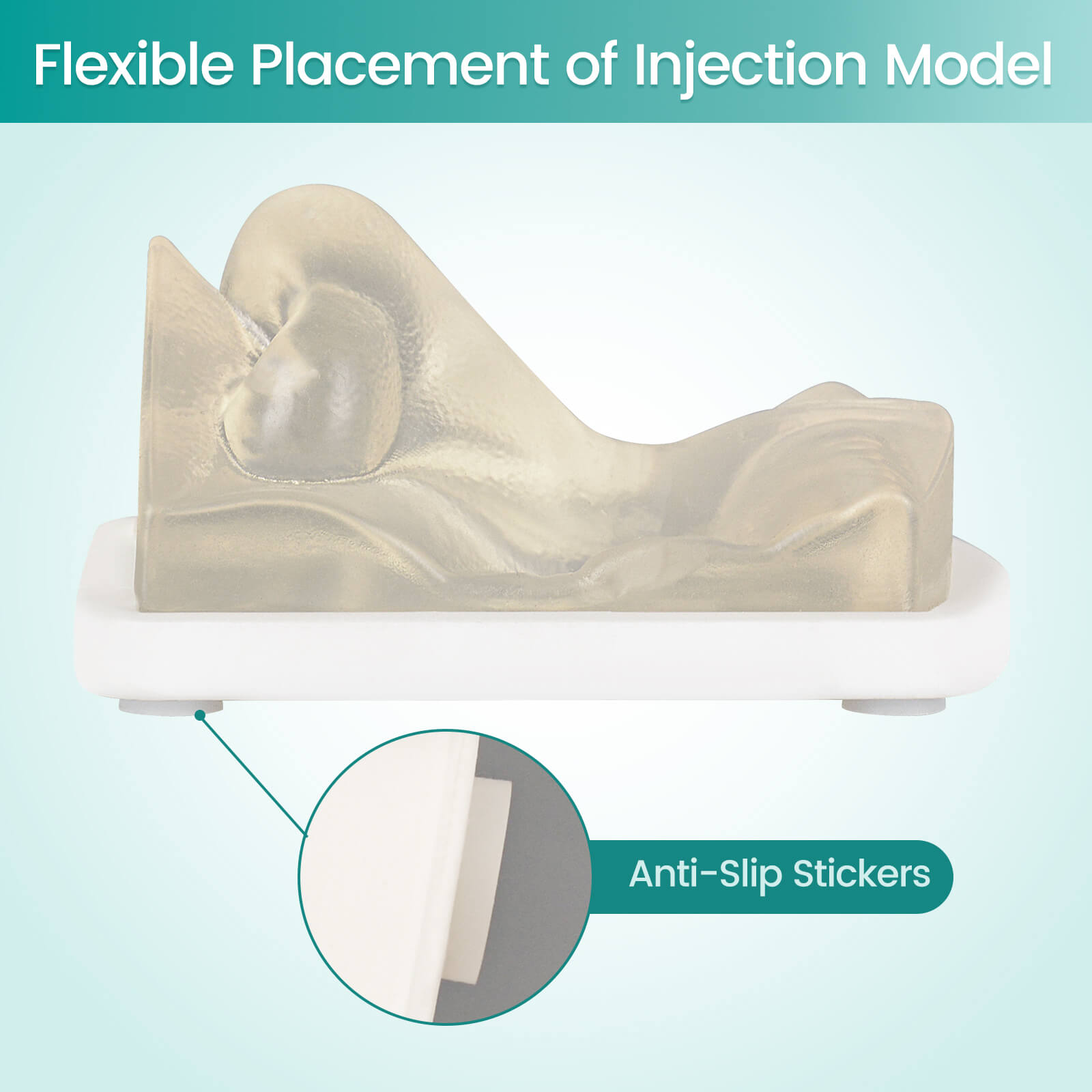Transparent Facial Injection Nose Model for Filler & Injection Practice