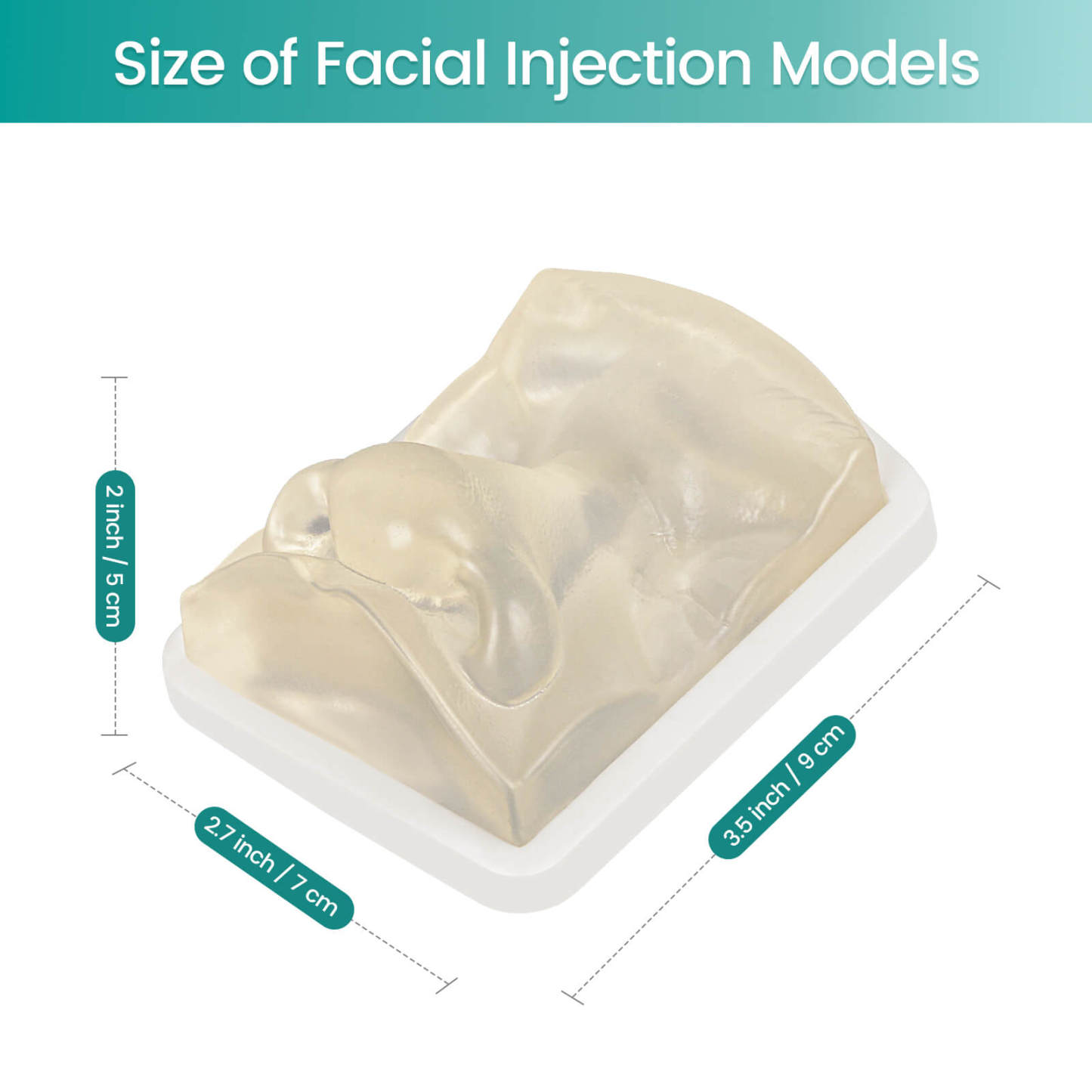 Transparent Facial Injection Nose Model for Filler & Injection Practice