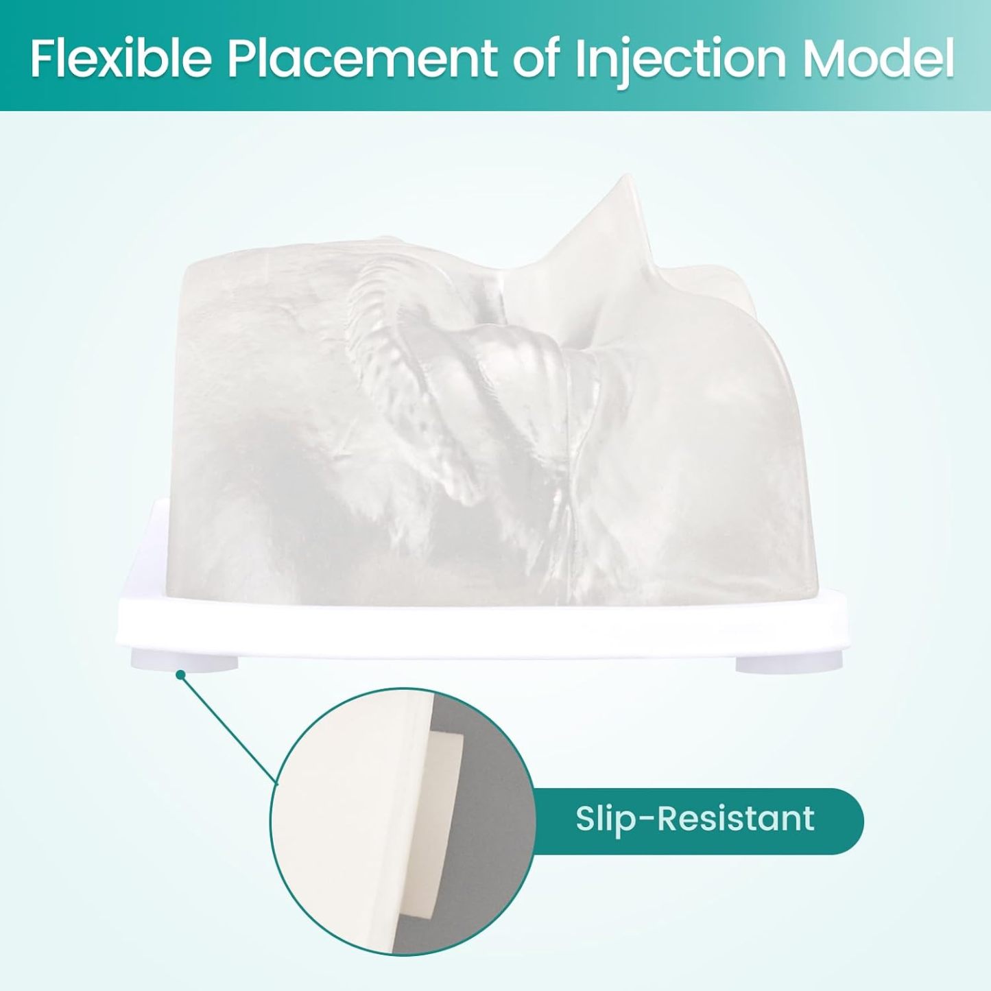 Transparent Eye Filler Practice Model