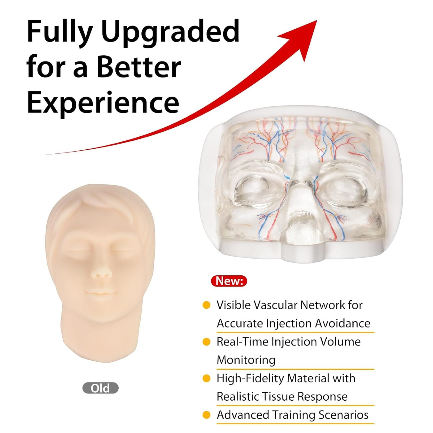 Upper Face Injection Training Model with Simulated Blood Vessels